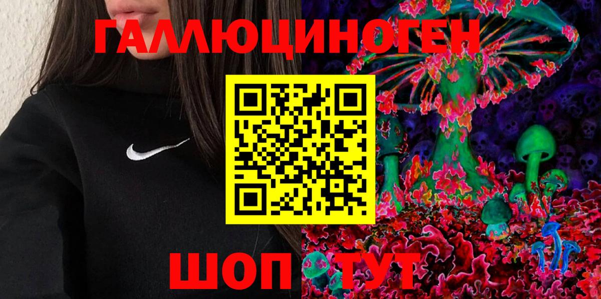 Псилоцибиновые грибы GOLDEN TEACHER  Галлюциногенные грибы ЛСД  Вход с VPN  Кизляр 